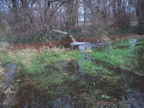 Afbeelding invoegen