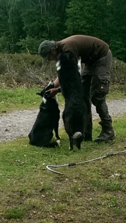 Afbeelding invoegen