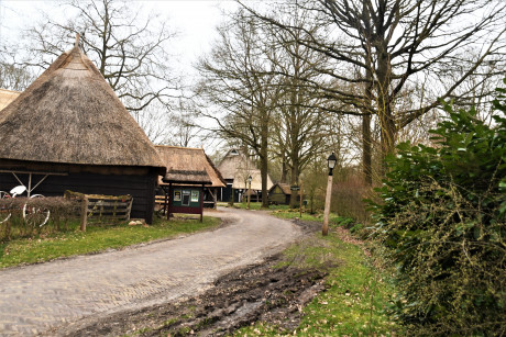 Afbeelding invoegen