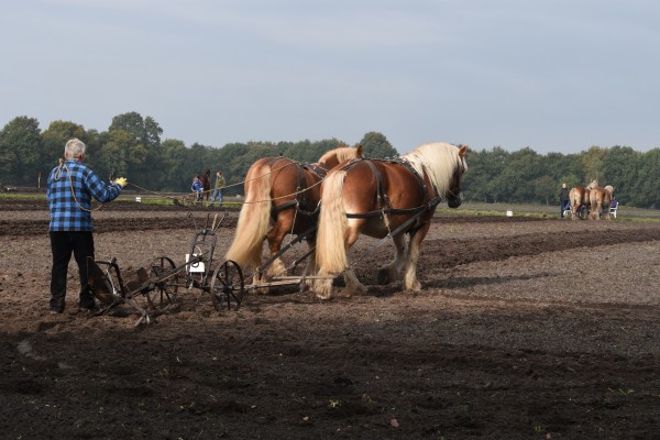 Afbeelding invoegen