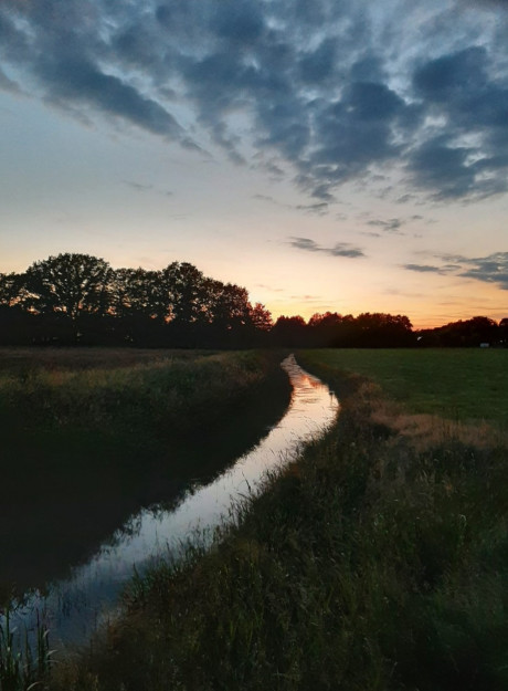 Afbeelding invoegen